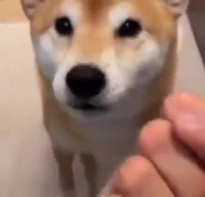 I bet he&rsquo;s hungry