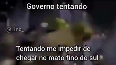 Se existe mato grosso do sul porque n&atilde;o mato fino do Sul