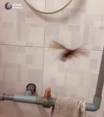 El mayor miedo