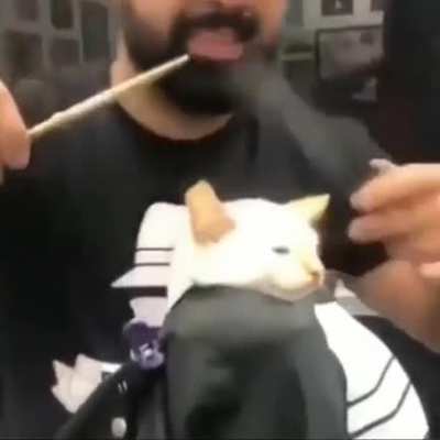 emocionante