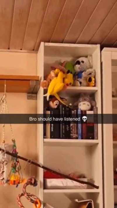 Don't do it