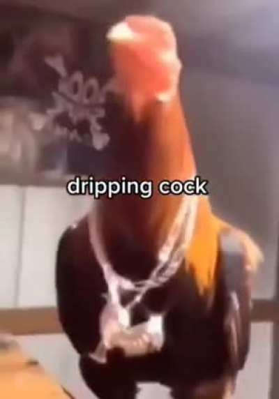 DRIPPING COCK ALERT