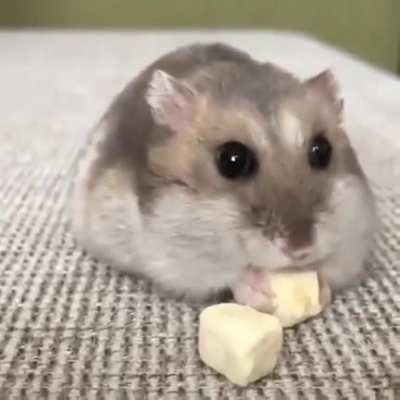 Here&rsquo;s a break from all of the Middle East posts, have a great Saturday!!!