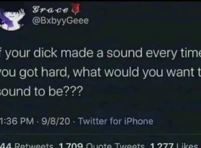the sound of penis