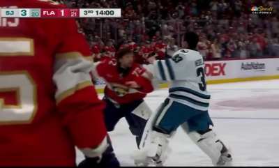GOALIE FIGHT IN FLORIDA: Alex Nedeljkovic vs Sergei Bobrovsky