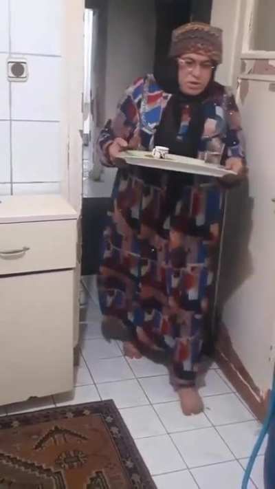 Poor cat was probably thrown