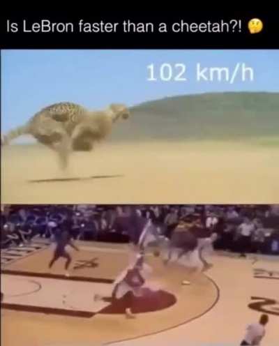rule
