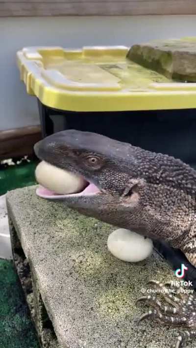 Maybe maybe maybe