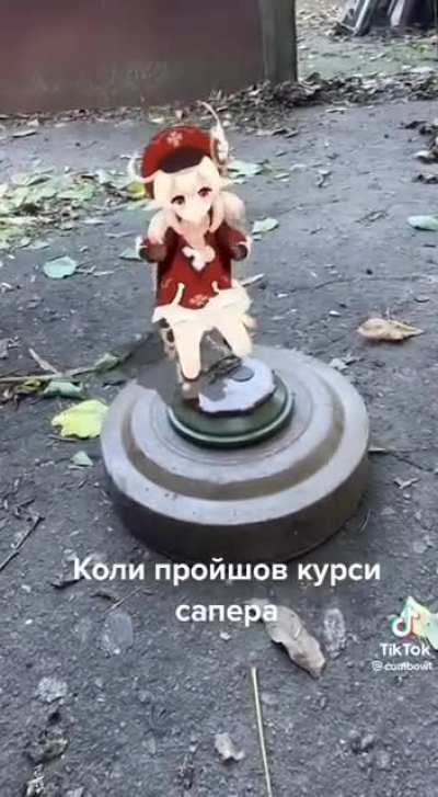 "Why is the demining taking so long?"