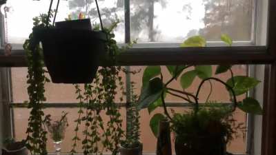 Rolling thunder through the kitchen window of our farmhouse.