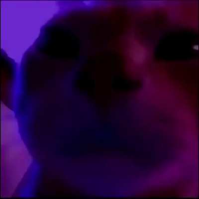 gd streamers when they turn on their facecam
