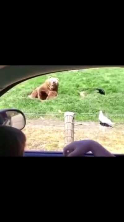 A wholesome gem from r/unexpected