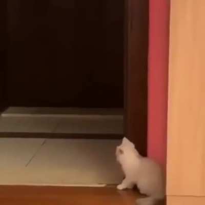 A brutal sneak attack