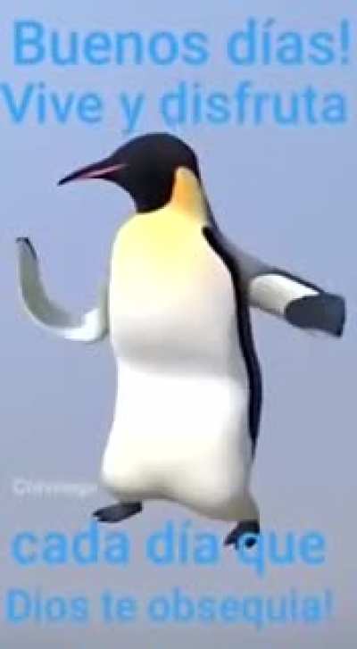 Buenos d&iacute;as