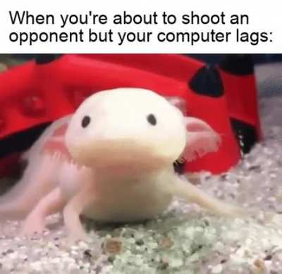 Cool axolotl