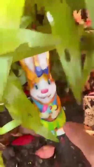 ik🐰ihe
