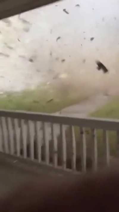 🔥 Inside the Ellabell Tornado 🔥