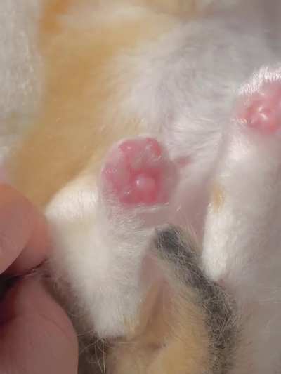 Look at those tiny glowing toe beans! I&rsquo;m obsessed.