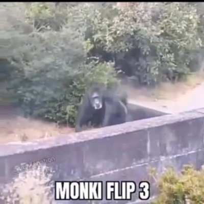 mmnomke flip.org