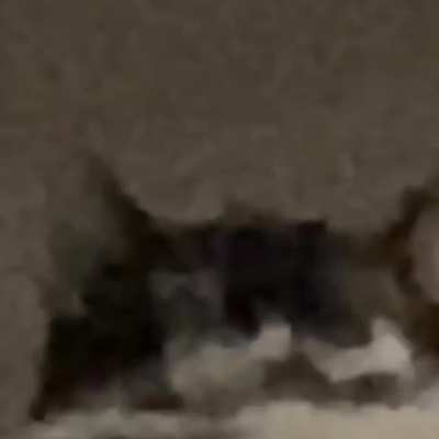 He be seeing things