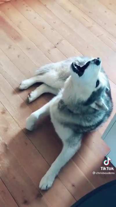 uuurrrRRRRAAAAAAAA