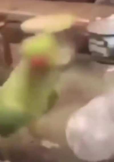 s&oacute; segue