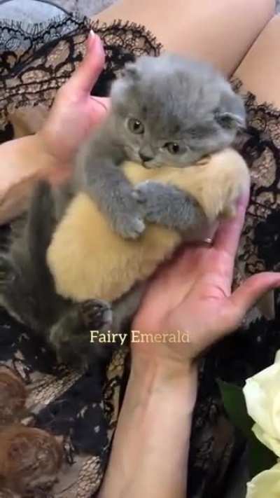 To cute not to share.