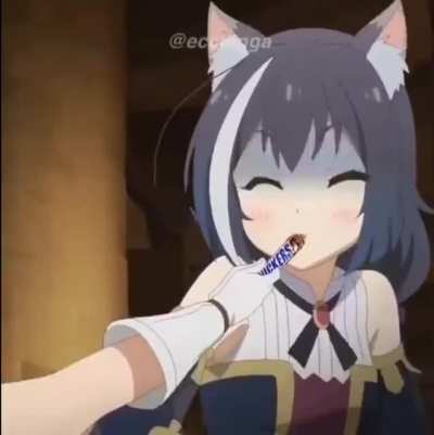 sub has no rules so i can post my memes HA