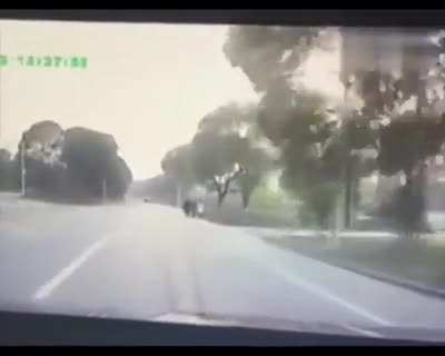 Well shit...
