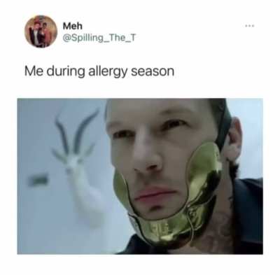 Gay🤧irl