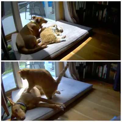 Maybe Maybe Maybe