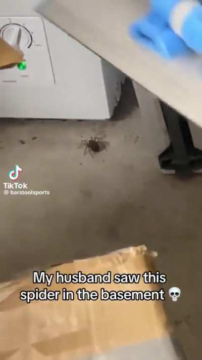 Splat