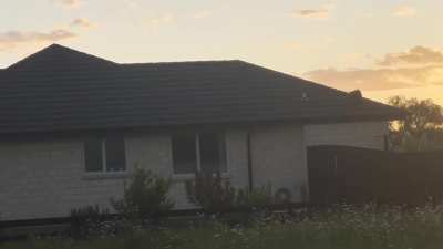 Cats on a hot tin roof