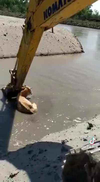 Спасение рядового "коровы"