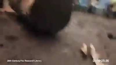 Eles est&atilde;o evoluindo