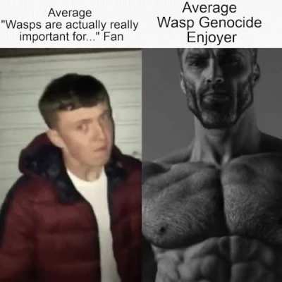chad