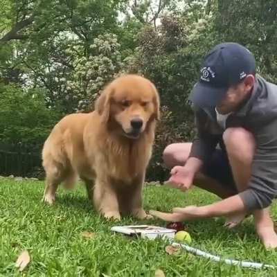 Maybe maybe maybe
