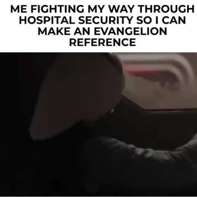 Evangelion fans