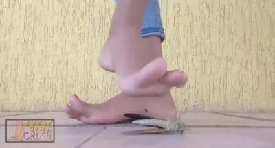 Asian feet vs locusts 