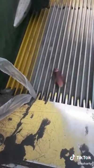 Maybe maybe maybe