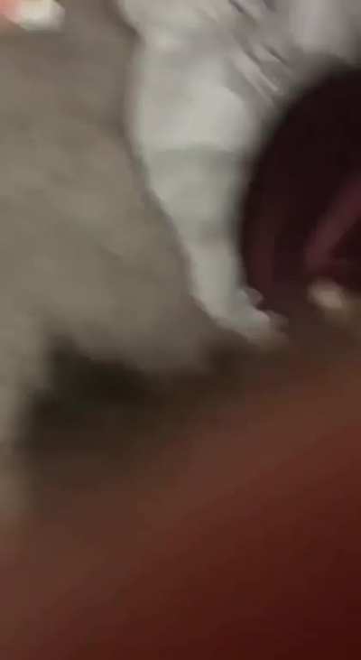 nikkimiichelle - Video #7063