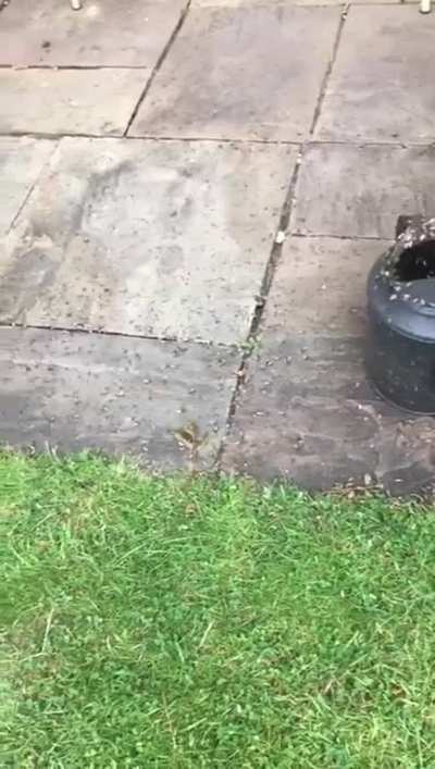 It&rsquo;s fine, I didn&rsquo;t want to water the plants anyway...