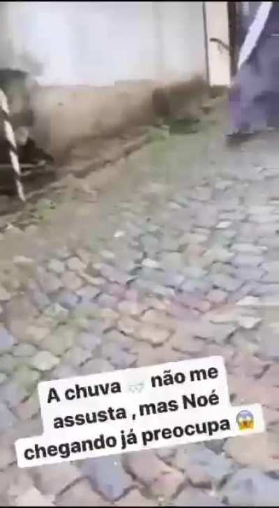 Esse ano promete