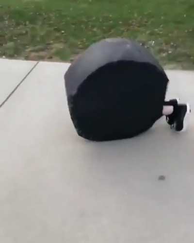 They're evolving!!!