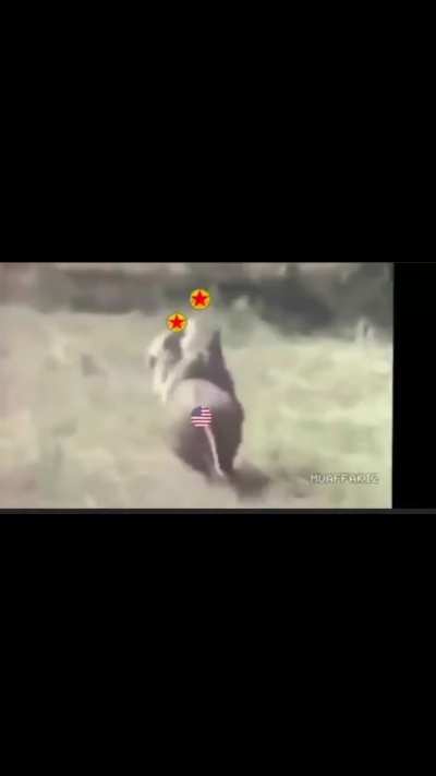 Turkey in WW3