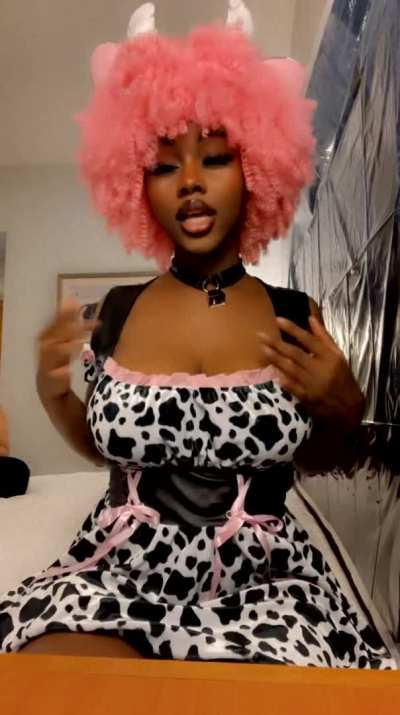 Cow with some big milkers