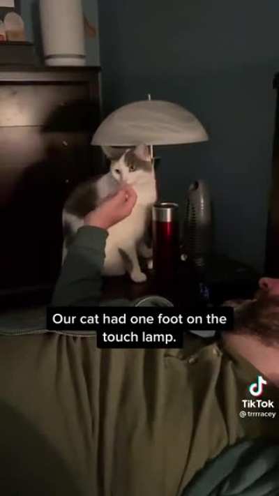 Custom boop lamp