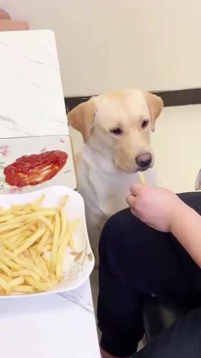 "Dad, I want fries w/ sauce!"