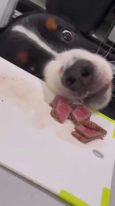 To rob the food