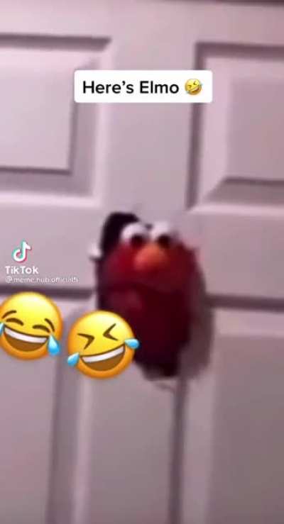 I don&rsquo;t Tik Tok but my son sent me this and I died.